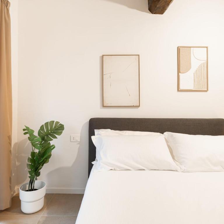 Albana Central Apartment, Bologna City Center - Appartamento con 2 Camere da Letto - 14