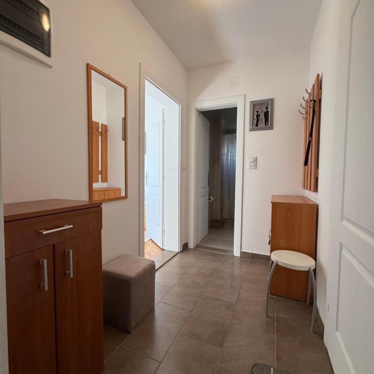 Forest Window 1 Petrovac - Apartment with Terrace - 24