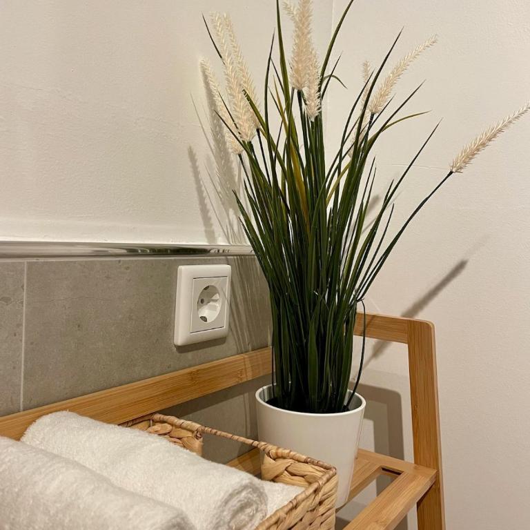 Apartment with Kitchen, Conservatory, Rain Shower - Two-Bedroom Superior Apartment - 14