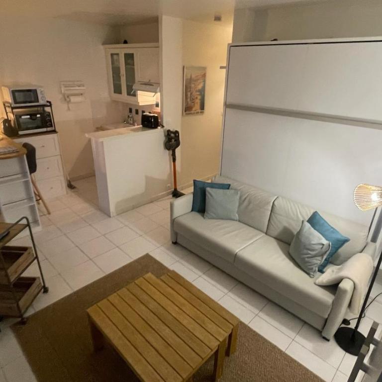 Le logis des roches noires, vue mer, parking privatif - Appartamento con 1 Camera da Letto - 8