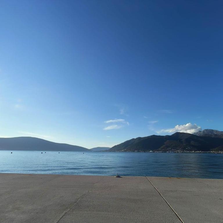 Tatjana Apartment - One-Bedroom Apartment with Balcony - 19