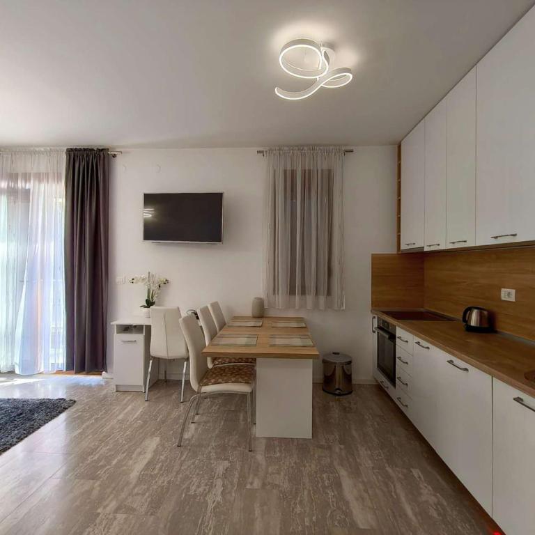 Tatjana Apartment - Apartman s 1 Spavaćom Sobom i Balkonom - 20