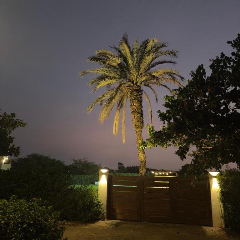Cozy Home with Huge Lawn and Pool - WiFi - Casa de 2 dormitorios - 17