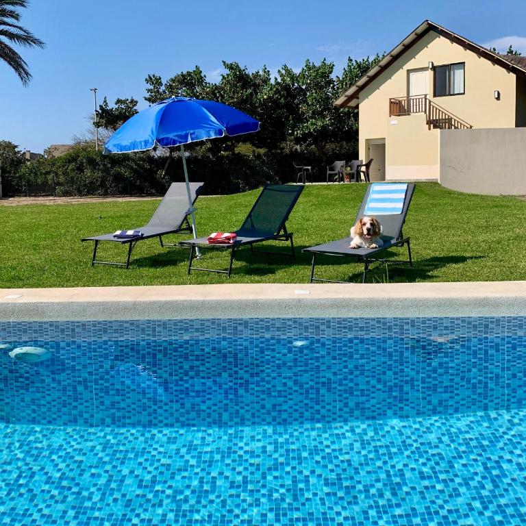 Cozy Home with Huge Lawn and Pool - WiFi - Casa de 2 dormitorios - 1