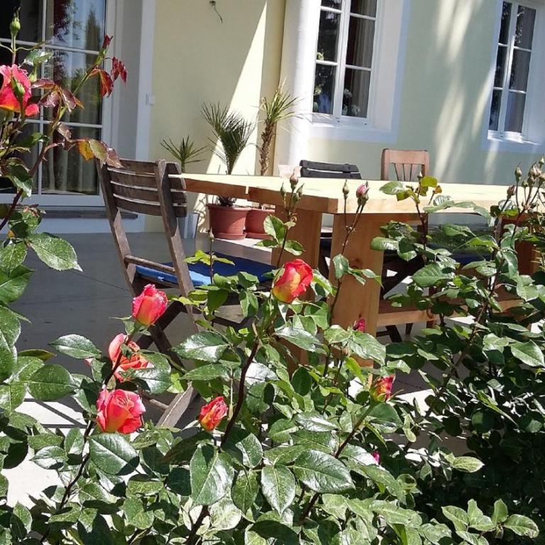 Brandlgut - Suite con Vista Giardino - 3