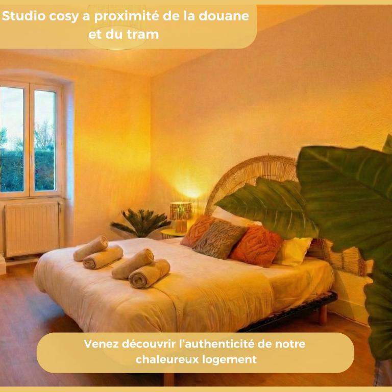 L'Amara I T1 I Gaillard - Studio - 1