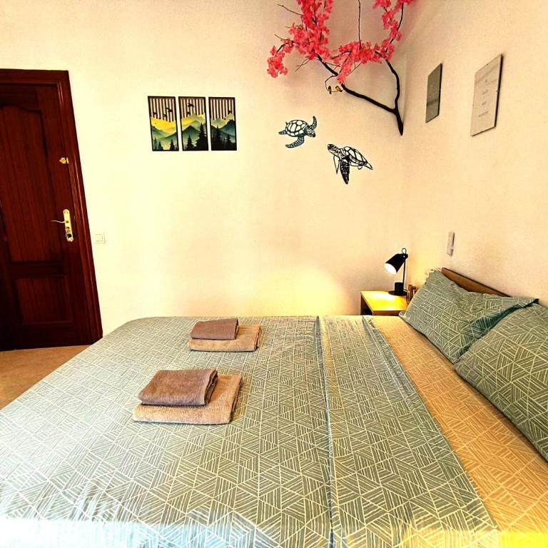 ROOMS in CAROLINAS NEIGHBORHOOD - Double Room with Terrace - 5