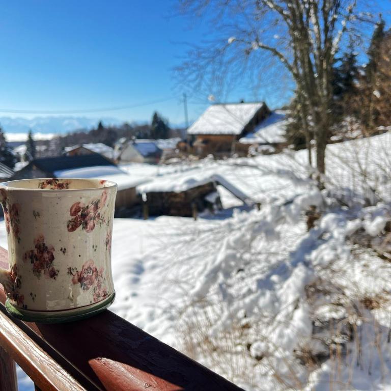 Chalet Clair Bois - La Féclaz avec bain nordique privé - Chalet - 23
