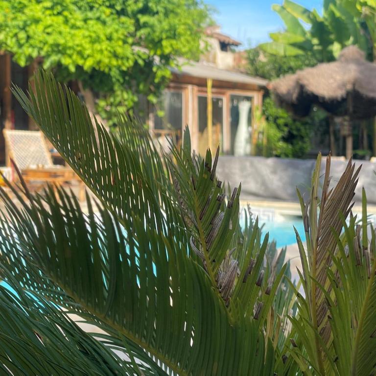 Le Mas de la Confrérie - Appartement - Vue sur Piscine - 21
