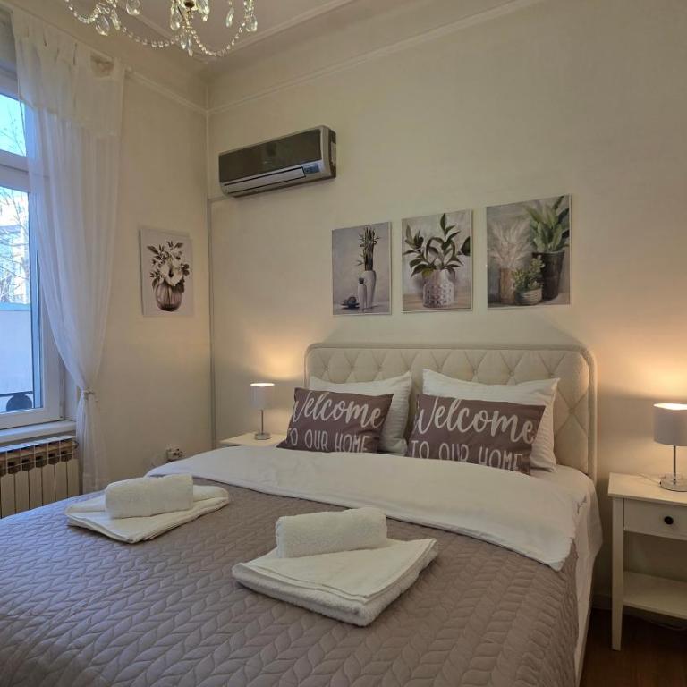 Vracar Luxury Apartment - One-Bedroom Apartment - 1