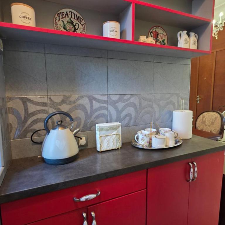 Vracar Luxury Apartment - One-Bedroom Apartment - 6