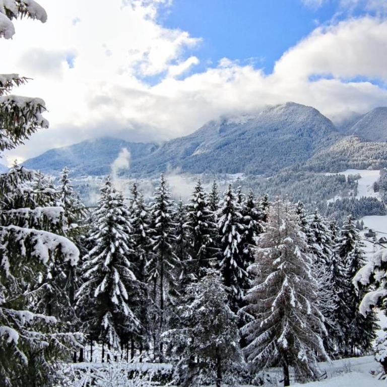 Chalet l'Alpe - Chalet 3 Chambres - 56