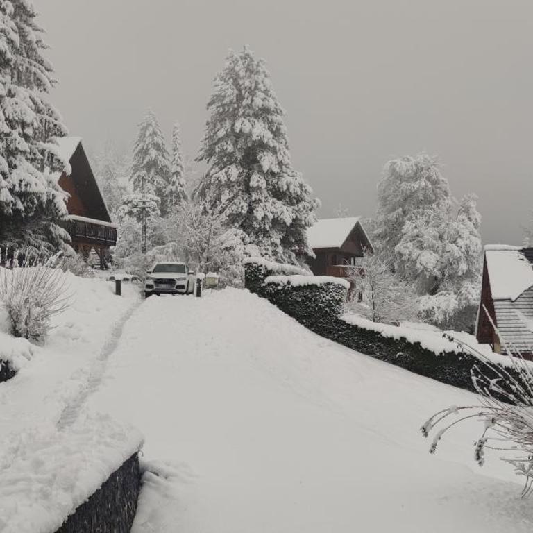 Chalet l'Alpe - Chalet 3 Chambres - 55
