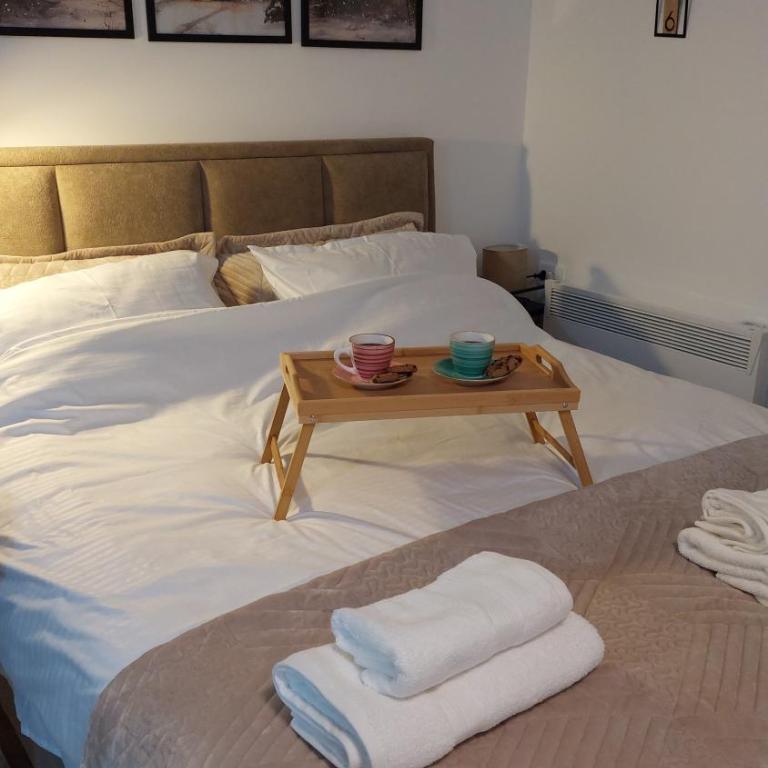 Kopaonik Alibi25 - Apartman sa 1 Spavaćom Sobom - 13