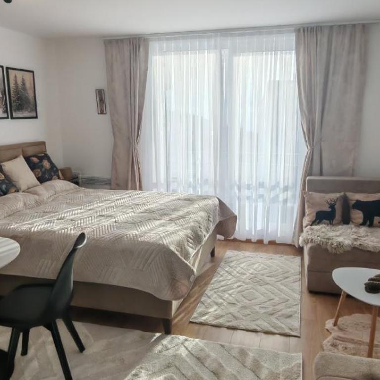 Kopaonik Alibi25 - One-Bedroom Apartment - 2