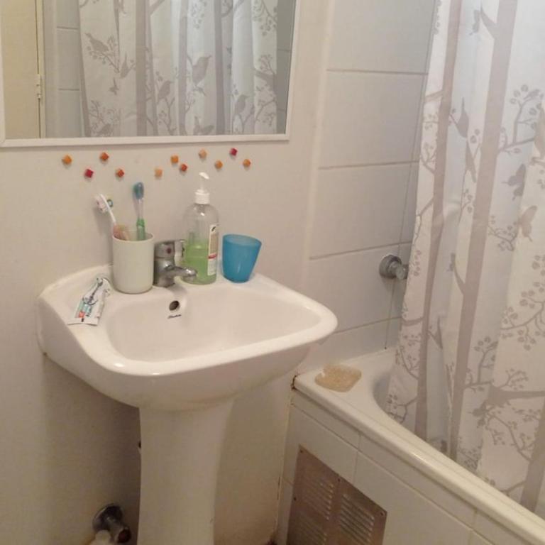 Spacious and cozy apartment, good location - Three-Bedroom Apartment - 5