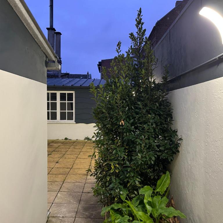 Le cocon avec Terrasse - Apartment mit 1 Schlafzimmer - 10