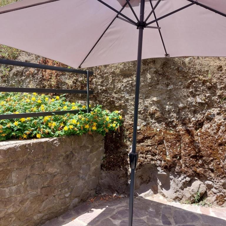 Il Casolare delle Brunorie Etrusche - Apartment - 27