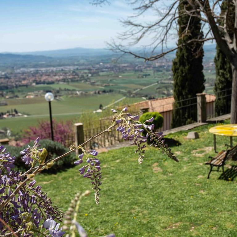 Casetta Stella - Appartamento - 21
