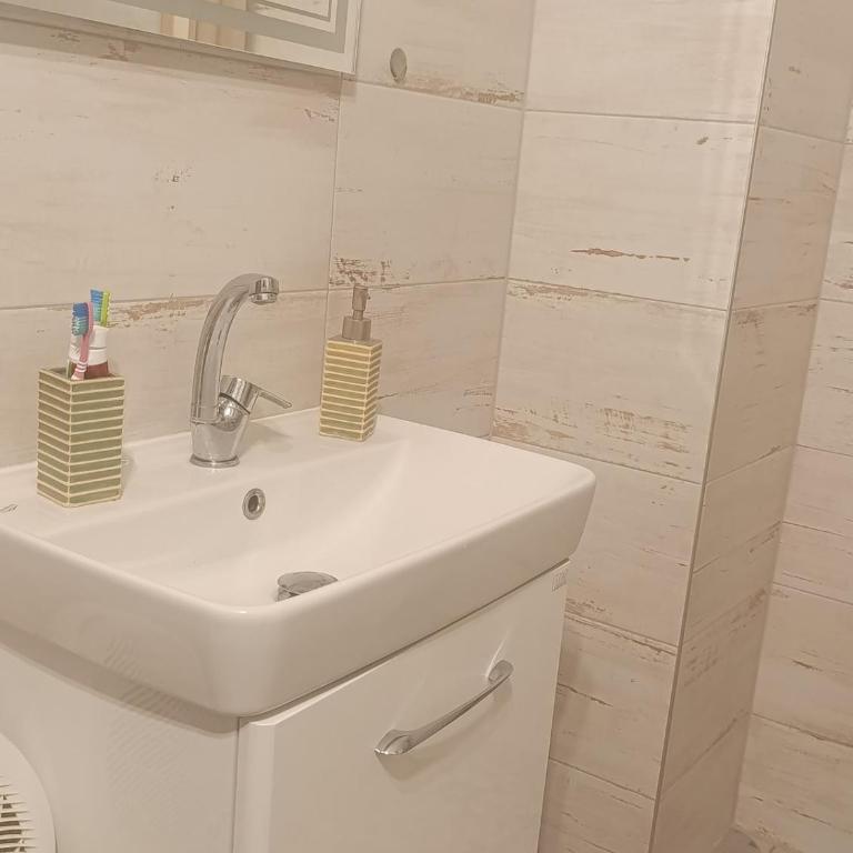 Sweet corner Alipasino - Apartman sa 1 Spavaćom Sobom - 3