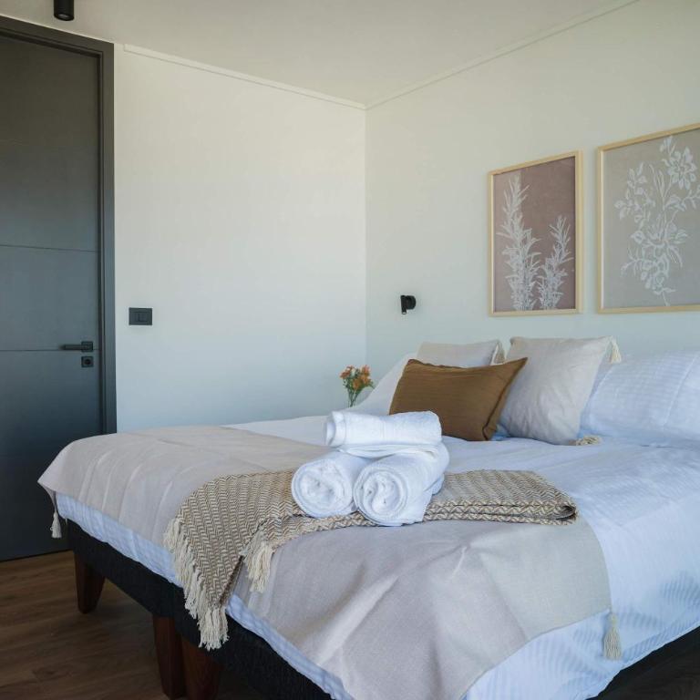 Prime 2BR Oasis in the Heart of Las Condes - Apartment - 19