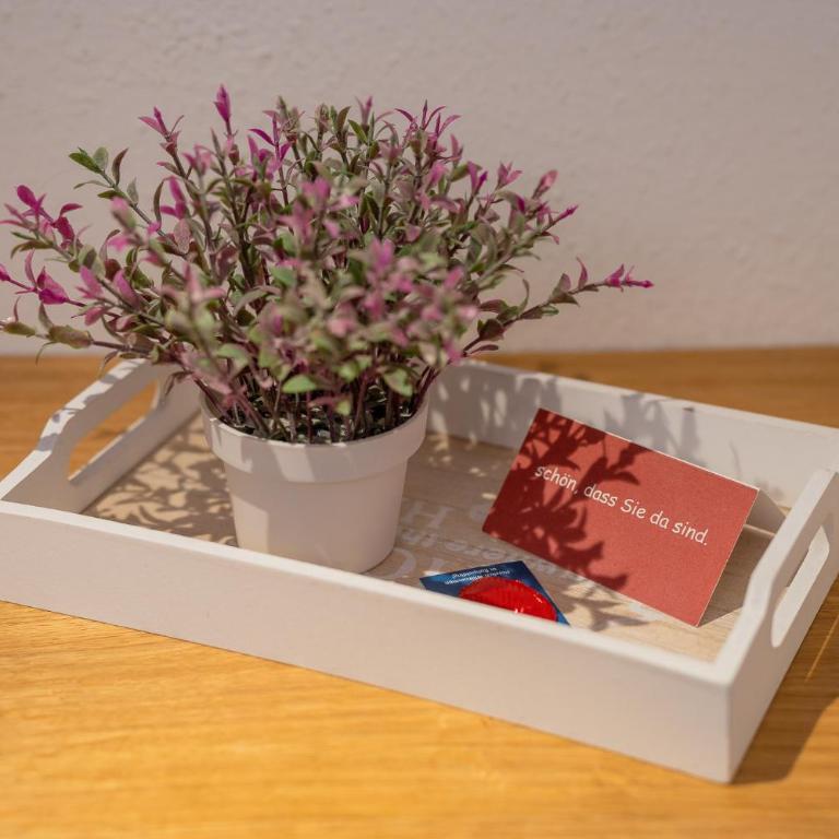 Ferienwohnungen Schweiger inkl. Chiemgaukarte - Apartment mit Terrasse - 4