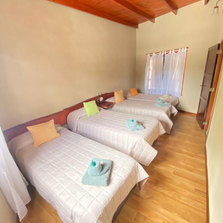 Apart Hotel Rústicos Valentina - Apartamento de 2 dormitorios con balcón - 9