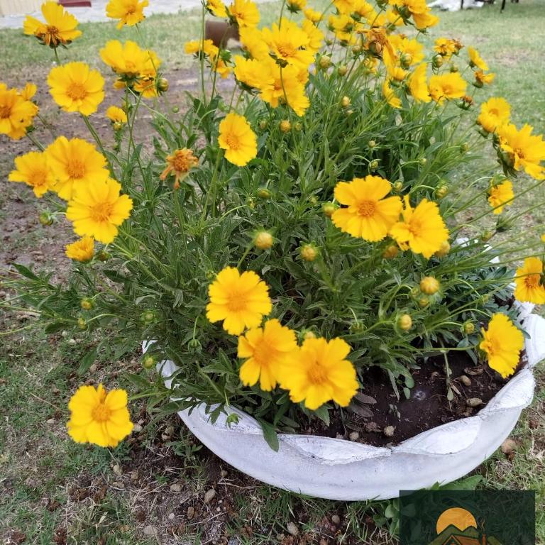 Cabaña El Chaparral Villa Dolores, Traslasierra 1 - Casa de 2 dormitorios - 16