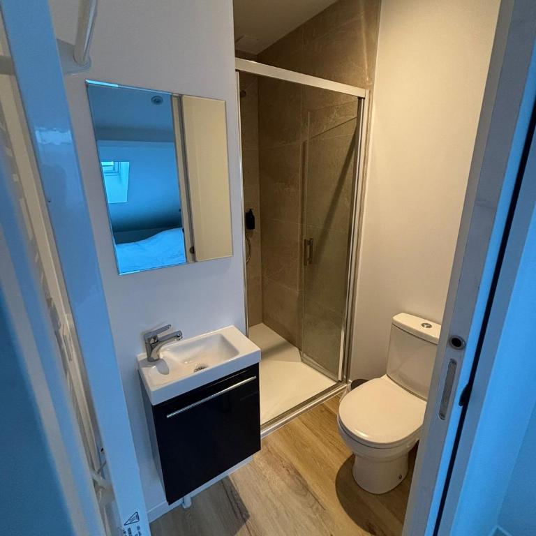 Maison de standing au centre de Reims 7 chambres avec 7 salles de bain, sauna, cour privée - Appartamento Superior con Sauna - 13