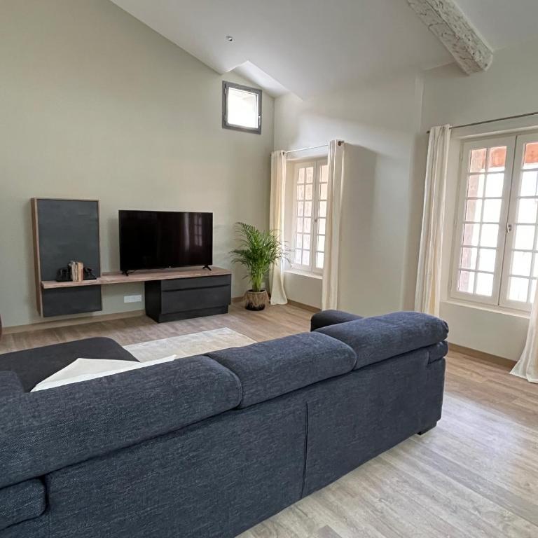 Appartement 100 m2 au cœur de l'Isle sur la Sorgue - Appartement - 1
