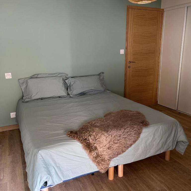 Appartement 100 m2 au cœur de l'Isle sur la Sorgue - Appartement - 12