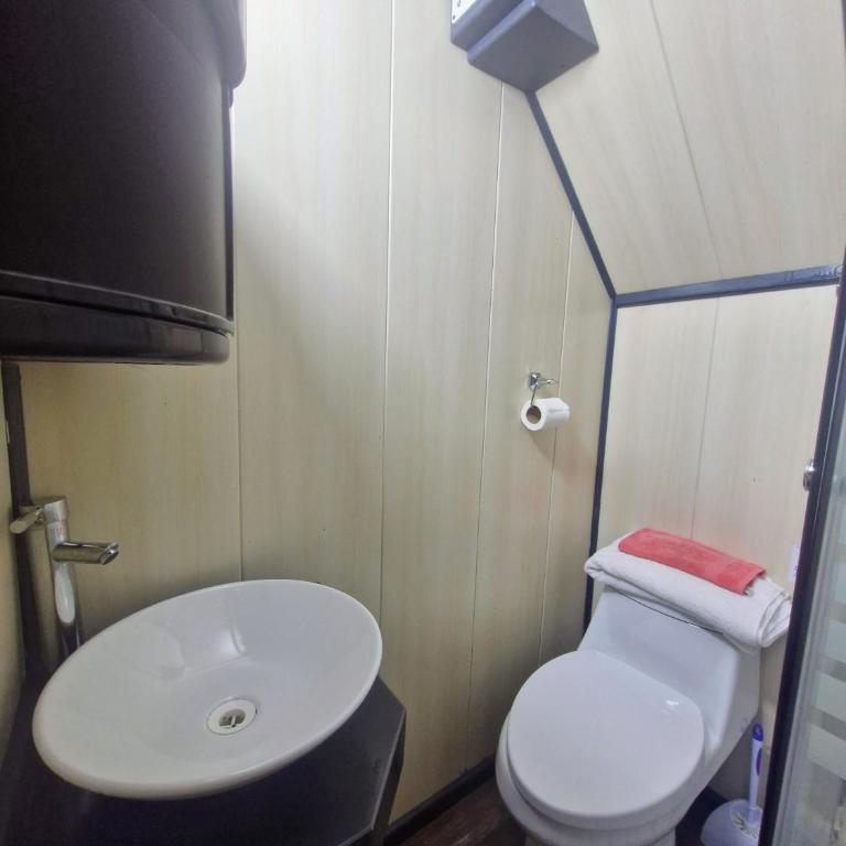 Wildepartamentos Valdivia Studio TM - Apartamento de 1 dormitorio - 11