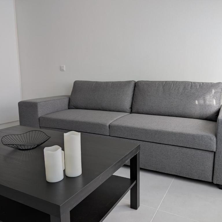 Le Landel - Appartement 3 Pièces entièrement rénové, climatisé avec parking - Two-Bedroom Apartment - 5