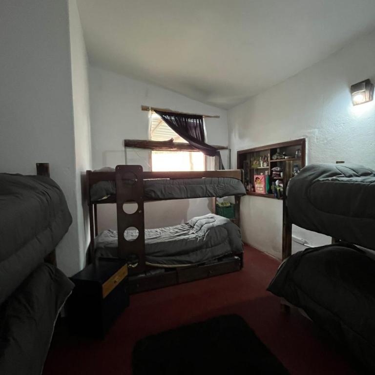 Kasananda - Mixed Dormitory Room - 3