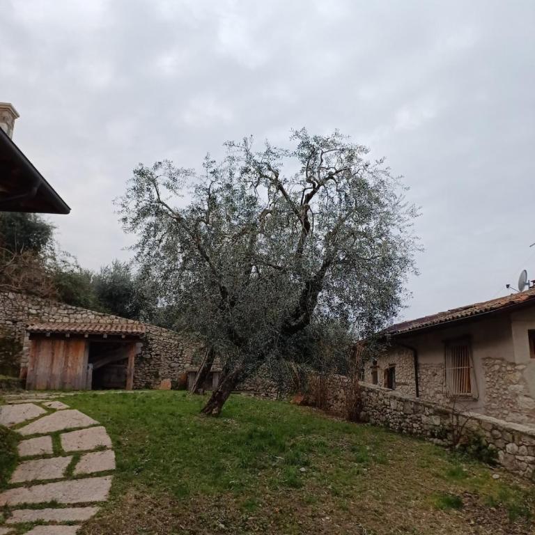 Lake view studio apartment n 13 - Appartamento con 1 Camera da Letto - 11