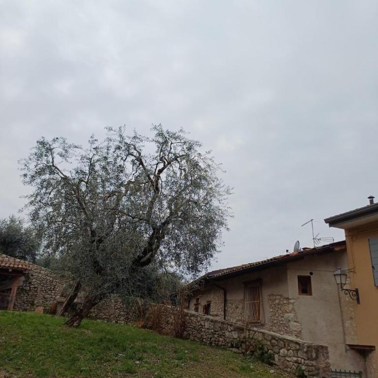 Lake view studio apartment n 13 - Appartamento con 1 Camera da Letto - 30
