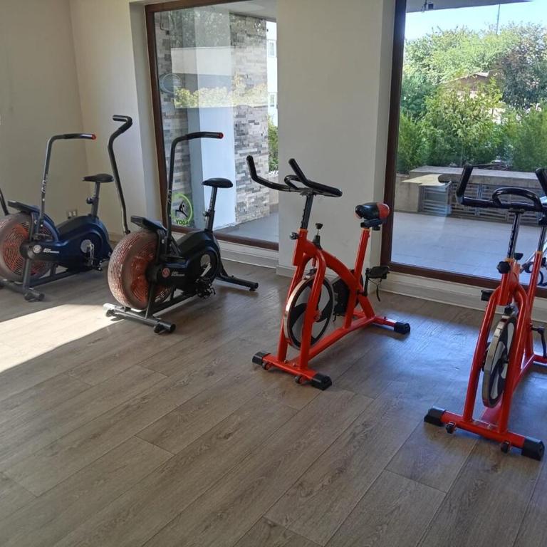 Apartment in Isla Teja, Valdivia - One-Bedroom Apartment - 5