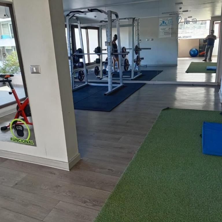 Apartment in Isla Teja, Valdivia - One-Bedroom Apartment - 7