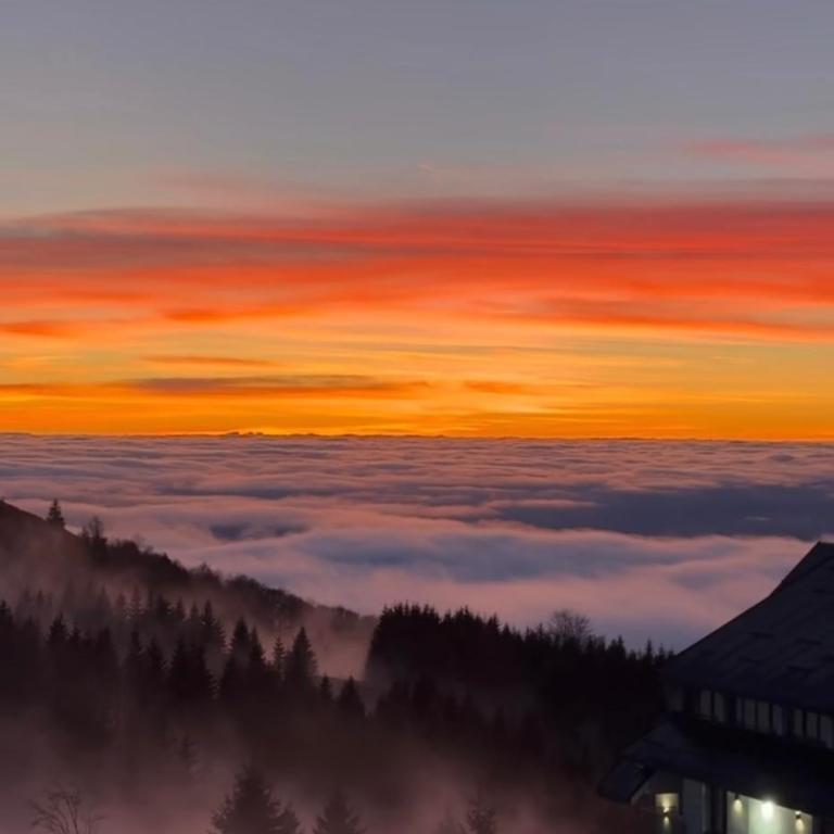 Apartmani ANA - Kopaonik, Treska - Two-Bedroom Apartment - 17