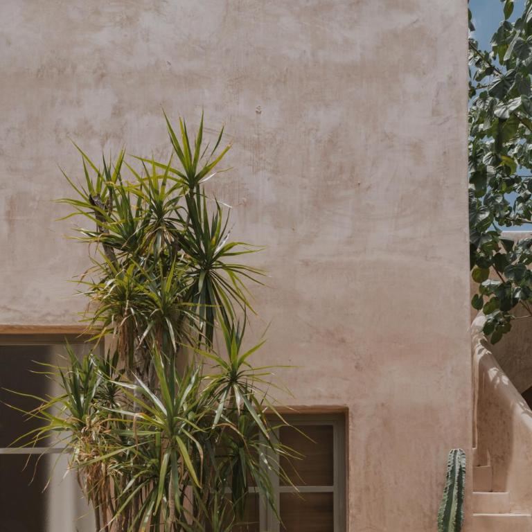 Villa Petit Comité - Casa de 4 dormitorios - 11