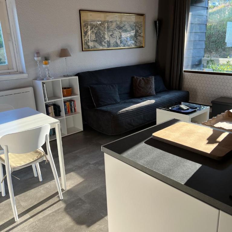 Chamrousse appartment 4 personnes La Lauzière - Apartment mit 1 Schlafzimmer - 12