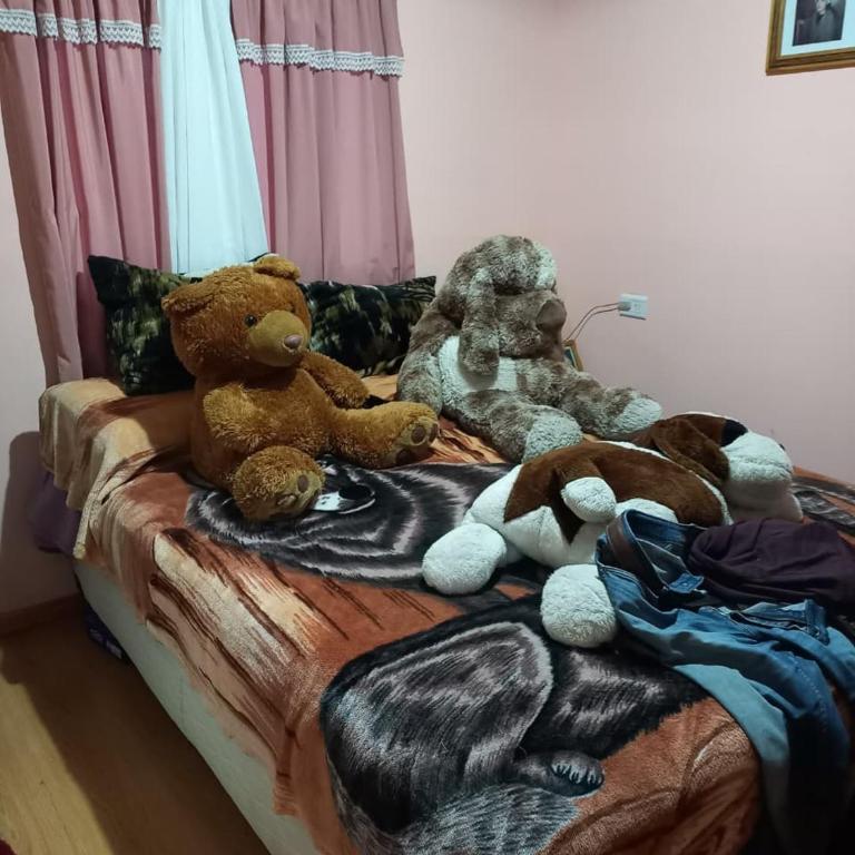 Ameghino - Apartamento de 1 dormitorio - 2
