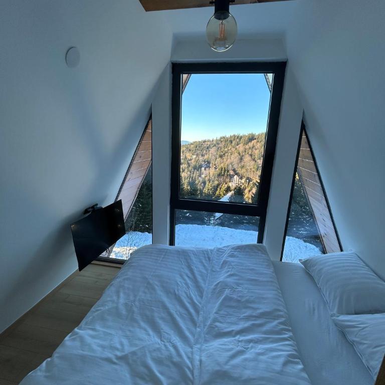 Tara mountain house Kopaonik - Two-Bedroom House - 48