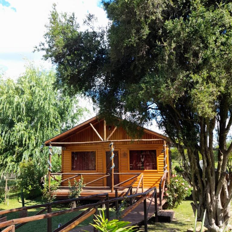 Los Cardenales - One-Bedroom House - 1