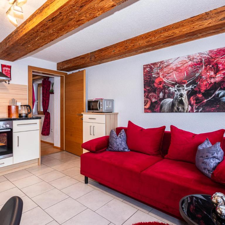 Der Bichlhof - Zell am See - Apartamento de 1 dormitorio - 9