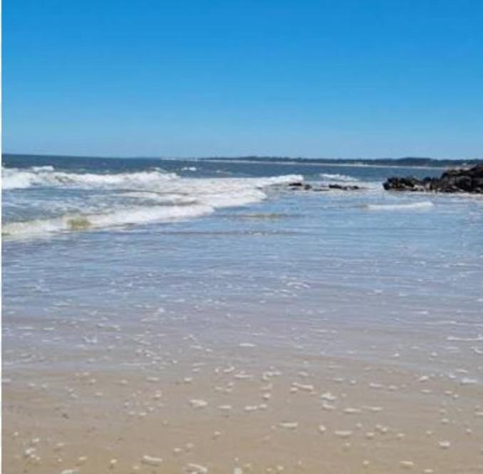 Amor amor - Casa con 1 dormitorio - 9