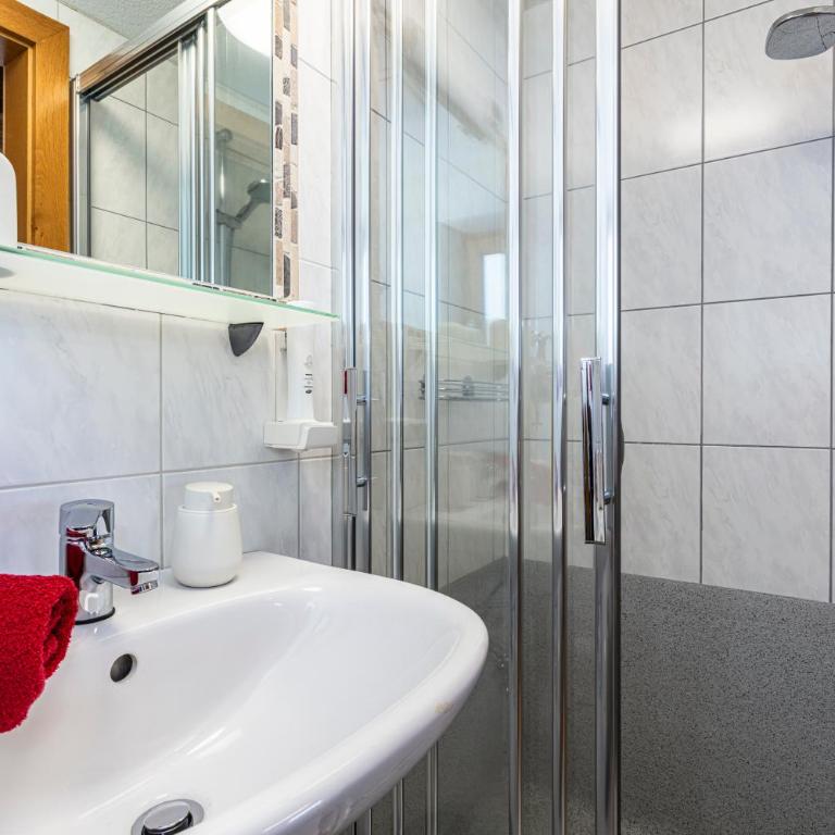 Der Bichlhof - Zell am See - Apartamento con vistas al lago - 7
