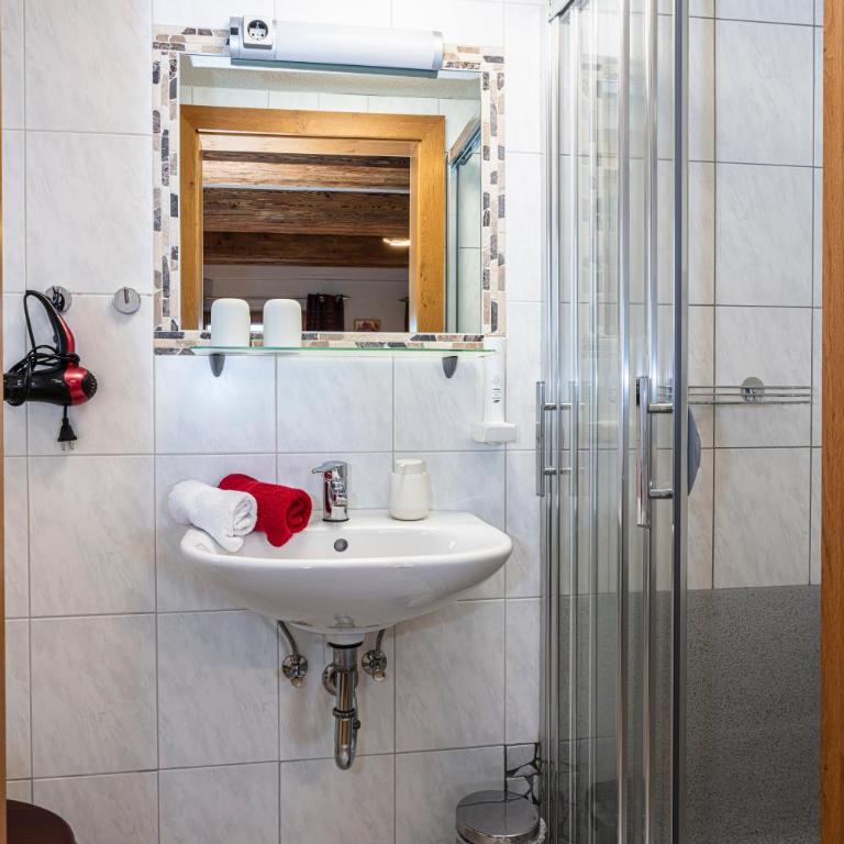Der Bichlhof - Zell am See - Apartamento con vistas al lago - 8
