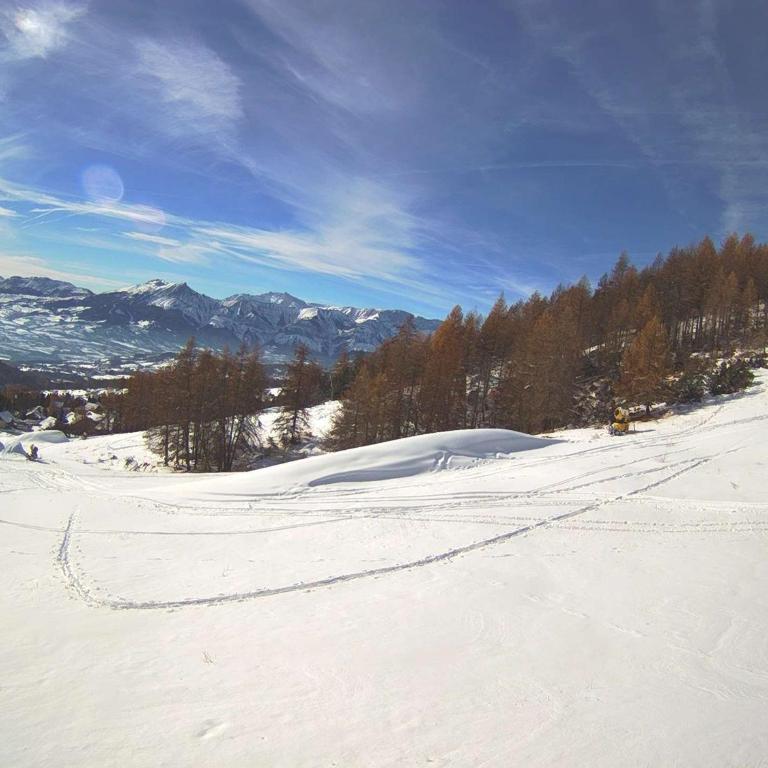 **Studio Montagne 2/3 pers - Pied des pistes, centre station** - FR-1-393-43 - Studio - 15