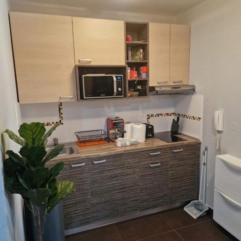 Apartman Kopaonik u Jolly kop - Apartman sa 1 Spavaćom Sobom - 3